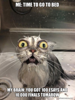 Cat bath