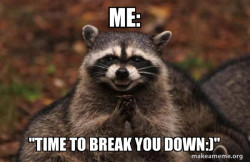 Evil Plotting Raccoon