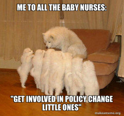 Storytelling Dog