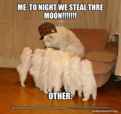 Scumbag Storytelling Dog