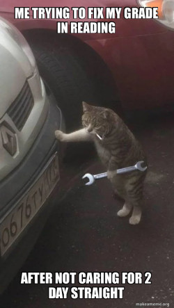 Mechanic Cat