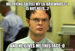 Schrute Facts (Dwight Schrute from The Office)