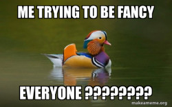 Fashionable Advice Mallard