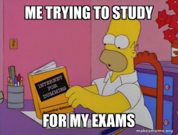 Internets Homer