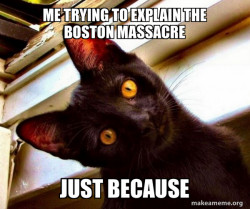 Overly Attached Cat