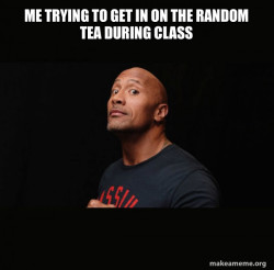 Dwayne Johnson (The Rock)