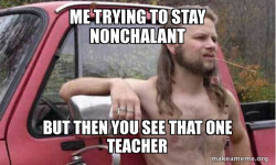 Almost Politically Correct Redneck