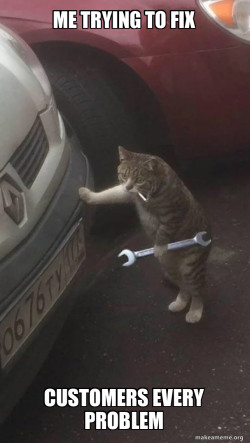 Mechanic Cat