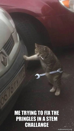 Mechanic Cat
