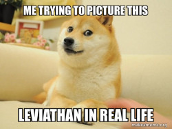 Doge