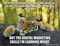 Confession Tiger