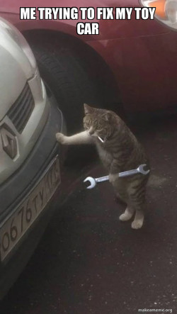 Mechanic Cat