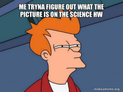 Futurama Fry