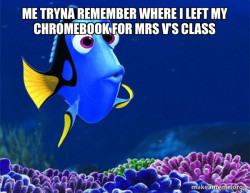 Dory from Nemo  (5 second memory)