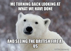 Popular Opinion Polar Bear