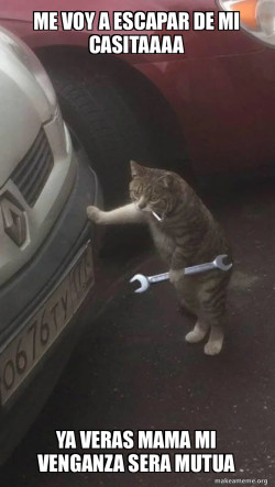 Mechanic Cat
