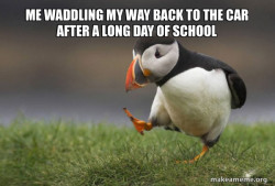 Unpopular Opinion Puffin