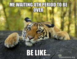 Confession Tiger