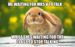 Regretful Rabbit