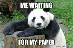 Confession Panda