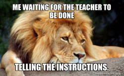 Confession Lion