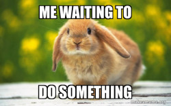 Regretful Rabbit