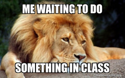 Confession Lion