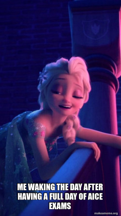 Drunk Elsa