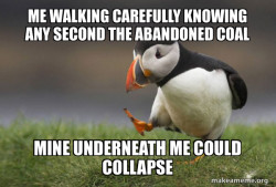 Unpopular Opinion Puffin