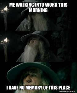 Confused Gandalf