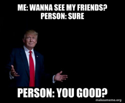 Trump Everything is FIne
