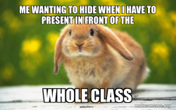 Regretful Rabbit