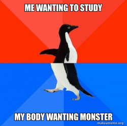 Socially Awesome Awkward Penguin