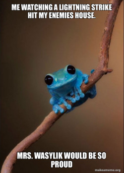 Small Fact Frog