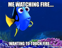 Dory from Nemo  (5 second memory)