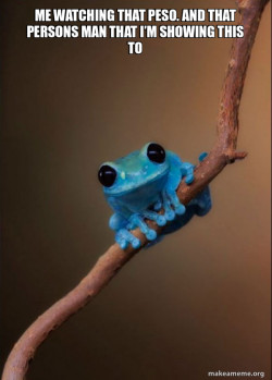 Small Fact Frog