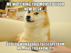 Doge