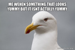 suffering form gross food