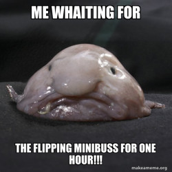 Blobfish