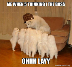 Scumbag Storytelling Dog
