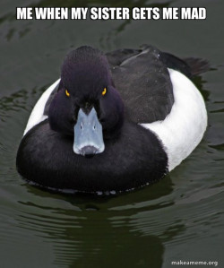 Revenge Duck ( Angry Advice Duck )