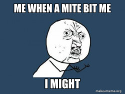 Y U No