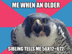 Millennial Falcon