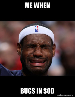 Lebron Crying