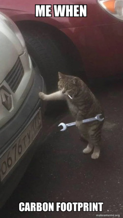 Mechanic Cat