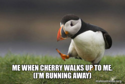 Unpopular Opinion Puffin
