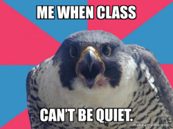Millennial Falcon