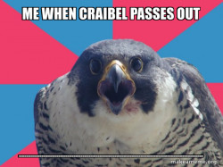 Millennial Falcon