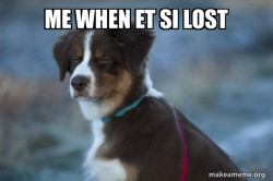 Unsure Dog