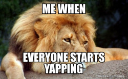 Confession Lion